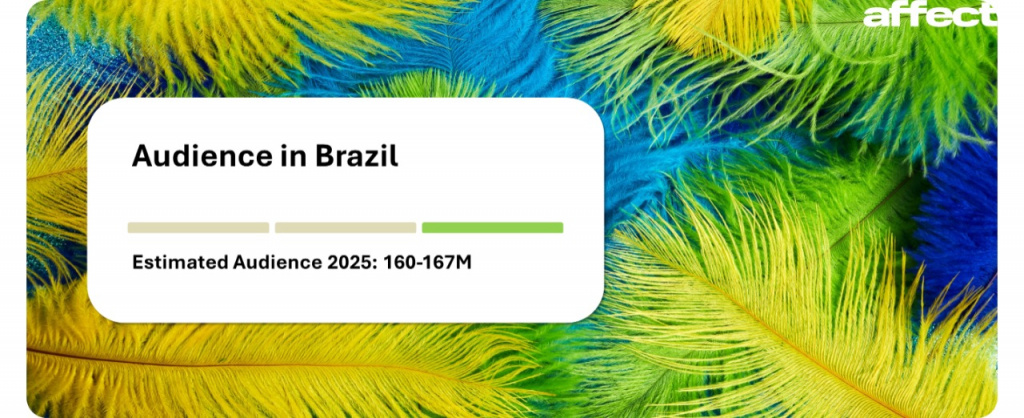 meta ads Brazilian audience